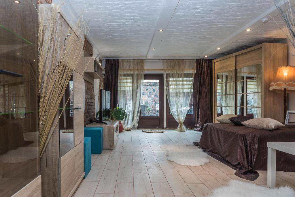 Piktužio apartamentai room 2