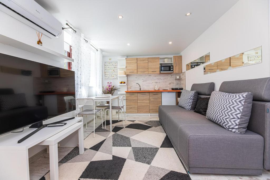Piktužio apartamentai room 3