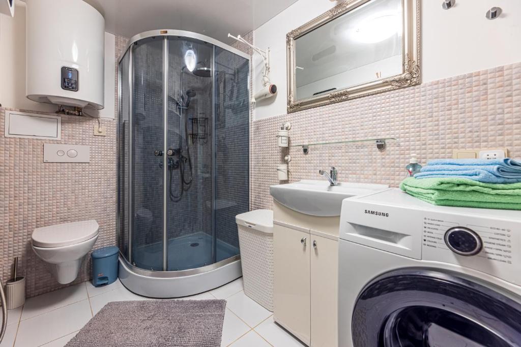 Piktužio apartamentai room 5